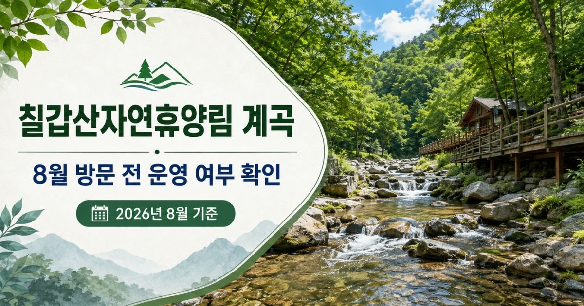 칠갑산자연휴양림 계곡, 8월 방문 전 운영 여부와 물놀이 확인 안내 이미지